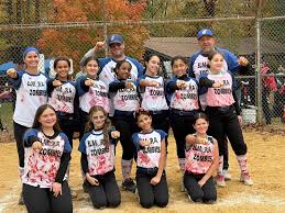 Image result for Elmbridge Girls` Little League