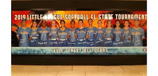 Image result for Elmbridge Girls` Little League