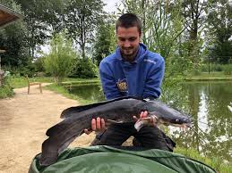 Image result for vissen