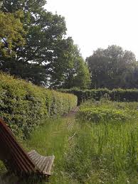 Image result for Priona Tuinen