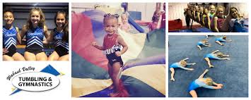 Image result for Blythe Valley Gymnastics Club