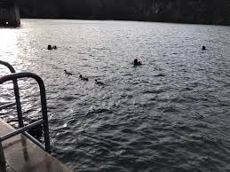 Image result for Hackney Sub Aqua Club (HSAC)