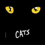 cats play
