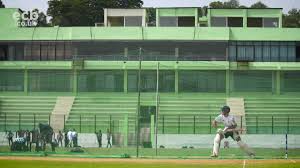 Image result for Luctonians Cricket Club