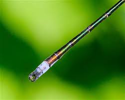 Attēlu rezultāti vaicājumam “Lestes dryas male”