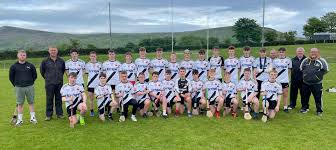 Image result for Causeway Hurling Club