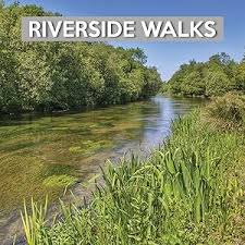 Image result for New Forest/Waterside