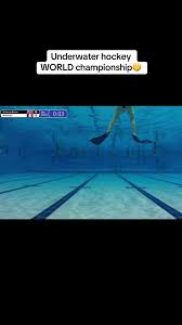 Image result for Chelmsford Octopush Club