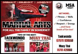 Image result for Midsomer Norton TAGB Tae Kwon-Do