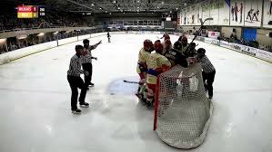 Image result for Swindon Panthers