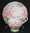Royal Albert Blossom Time Tea Cup at Classy Option - bone china ...