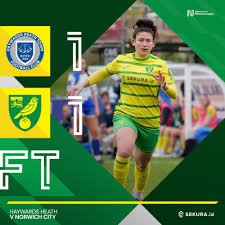 Image result for Haywards Heath Town Ladies Football Club