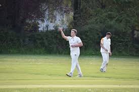 Image result for Capel Cricket Club
