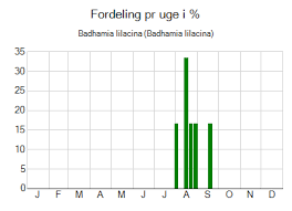 Attēlu rezultāti vaicājumam “Badhamia lilacina”