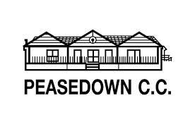Image result for Peasedown-St-John Cc