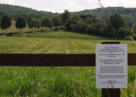 Image result for Corse & Staunton Cricket Club