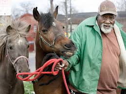 Image result for East Flegg Riding Club