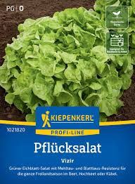 Image result for Pflücksalat