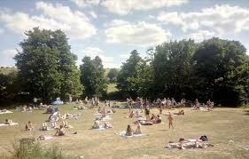 Image result for Frome Swimming Club