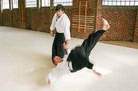 Image result for Kyu Shin Kan, Leicester Aikido