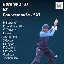 Image result for Bashley (Rydal) Cricket Club