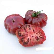 Afbeeldingsresultaat voor purple calabash tomato
