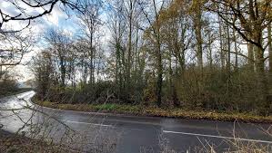 Image result for North Dorset