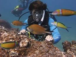 Image result for Woking Junior Snorkelling Club