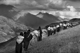 Image result for sebastiao salgado