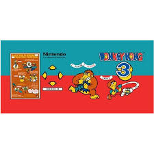 Kuvahaun tulos haulle donkey kong 3  arcade