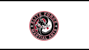 Image result for Elite Force Martial Arts