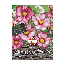 Image result for Schmuckkörbchen