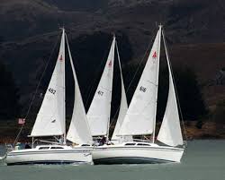 Image result for Segas Sailing Club