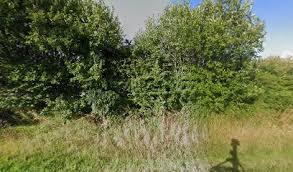 Image result for Braunton Football Club