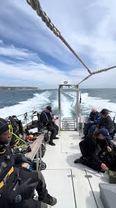 Image result for Droylsden Sub Aqua Club