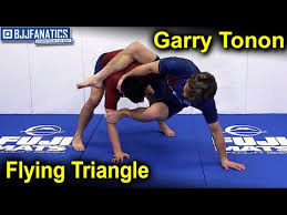 Image result for TRIANGLE CHANGQUAN FLYING DRAGON