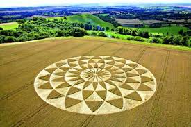 Image result for crop circles