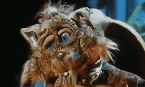 Image result for meet the feebles