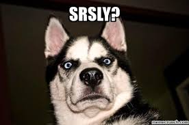 Image result for srsly