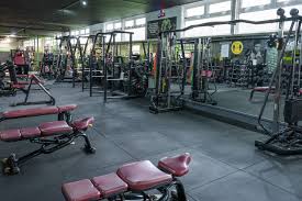 Image result for Gym Bubbas