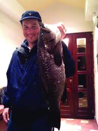 Image result for Mycteroperca rubra