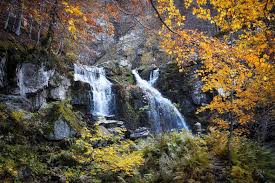 Image result for cascate del dardagna