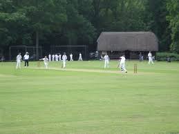 Image result for Buscot Park Cricket Club