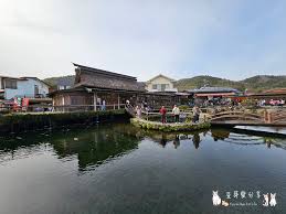 Image result for 水野X68仁義