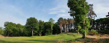 Image result for Brokenhurst Manor Golf Club