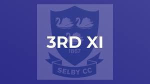 Image result for Thorner Mexborough Cricket Club