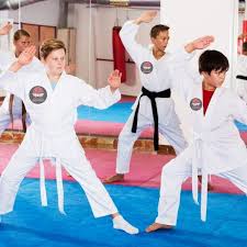 Image result for Bushido Academy Of Martial Arts (Bama)