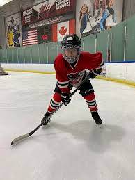 Image result for Piranhas Inline Hockey Club