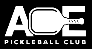 Image result for Ace of Clubs Trampolining