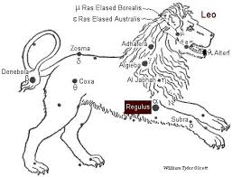 Attēlu rezultāti vaicājumam “Regulus regulus”
